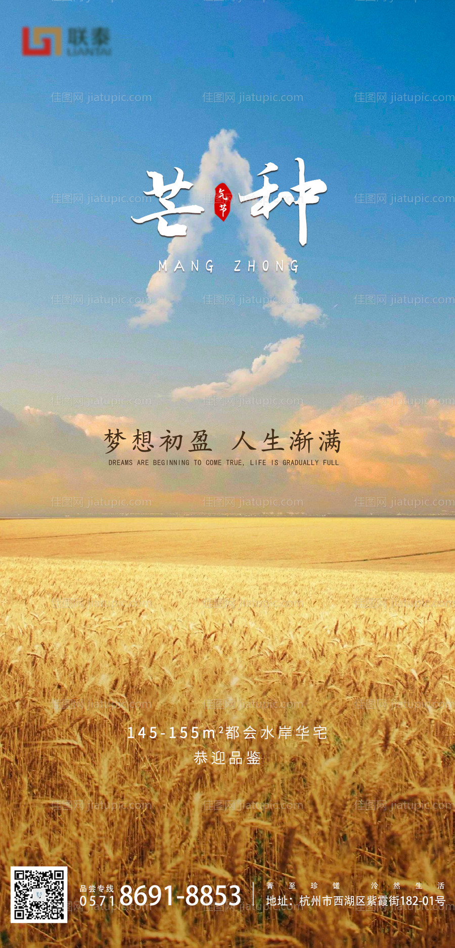 芒种二十四节气海报-源文件