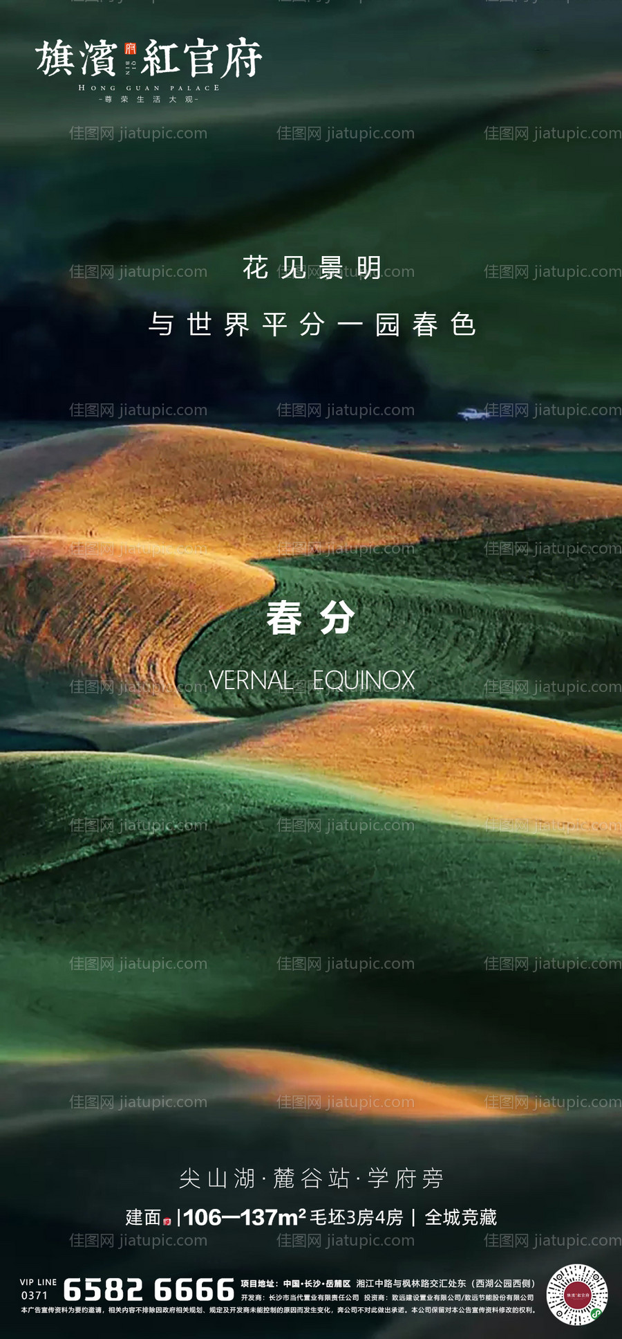 春分质感节气海报-源文件