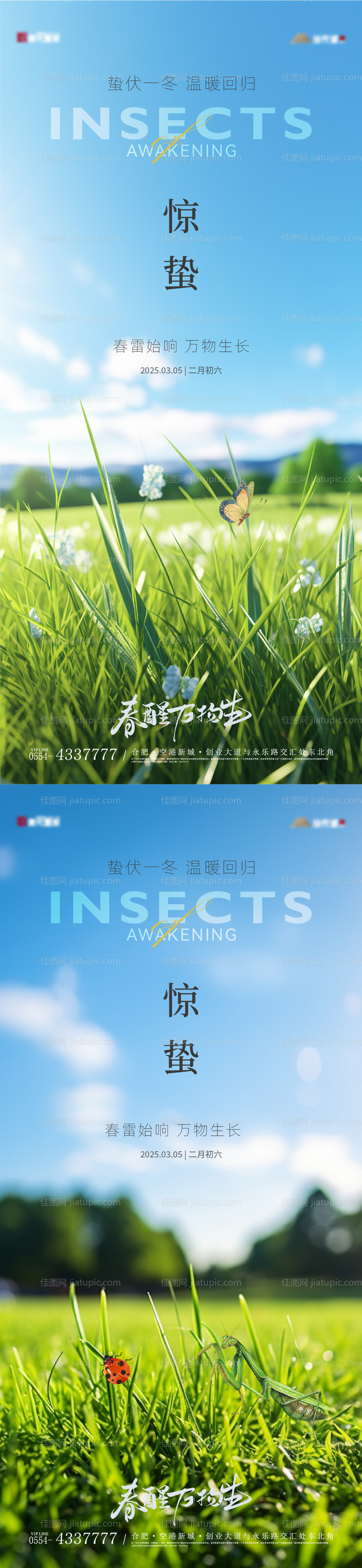 惊蛰实景园林节气海报-源文件