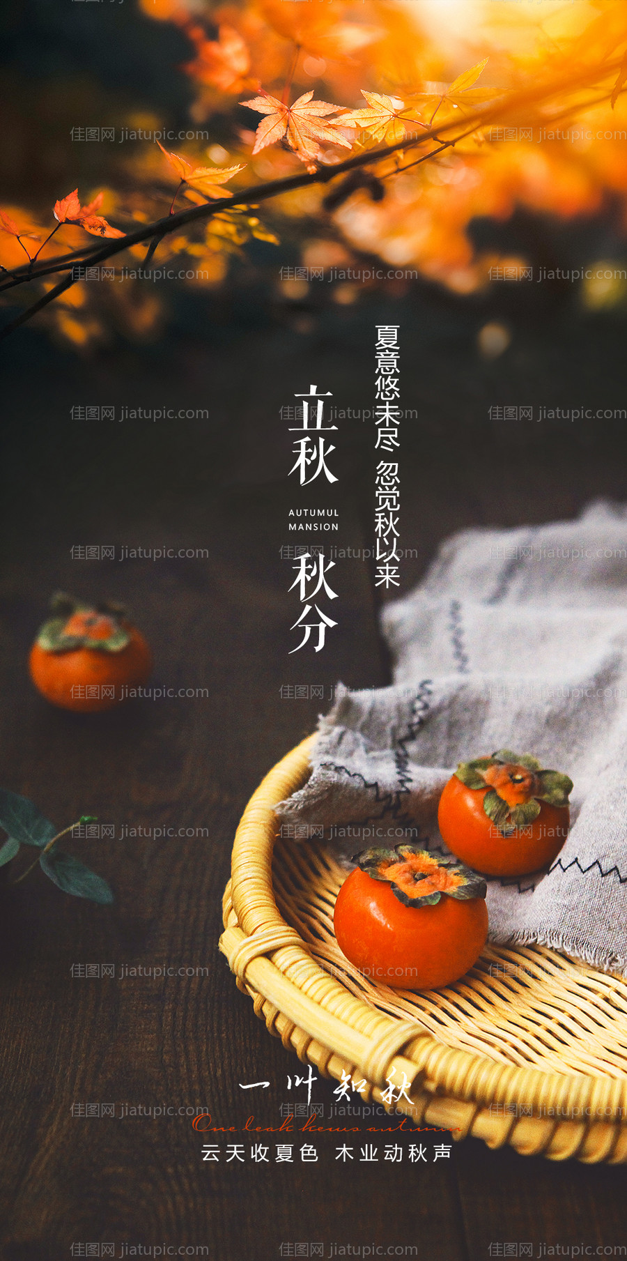 立秋秋分节气系列海报-源文件