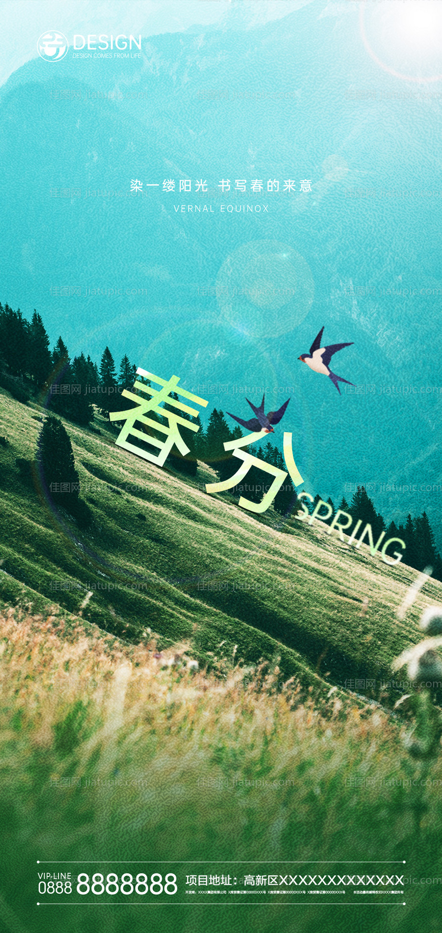 春分节气海报-源文件