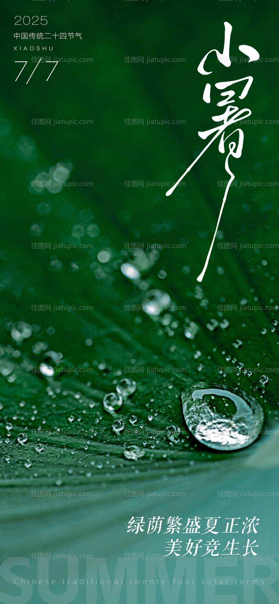 小暑节气海报-源文件
