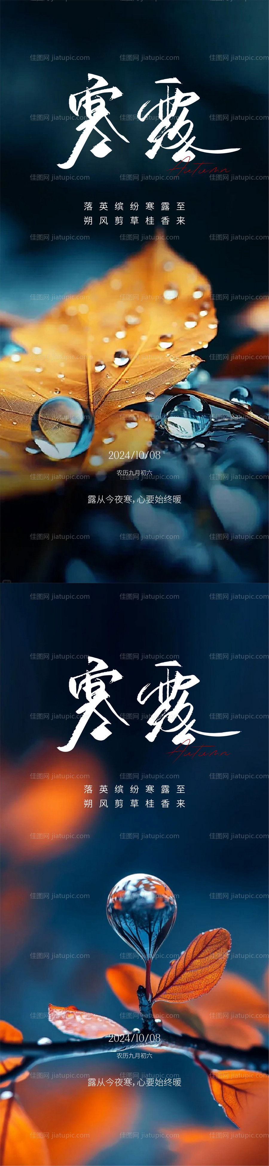 寒露节气海报-源文件