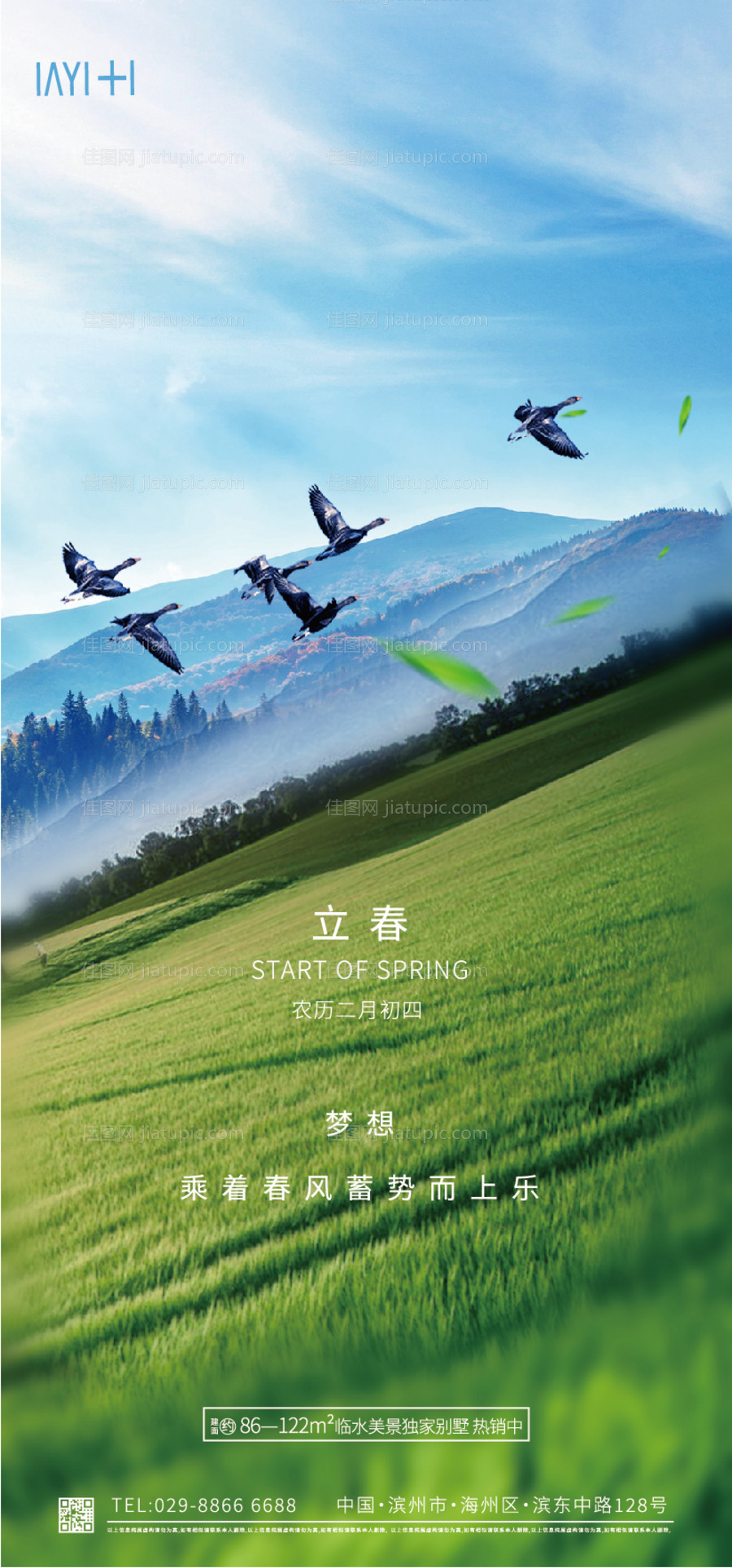 立春节气海报-源文件