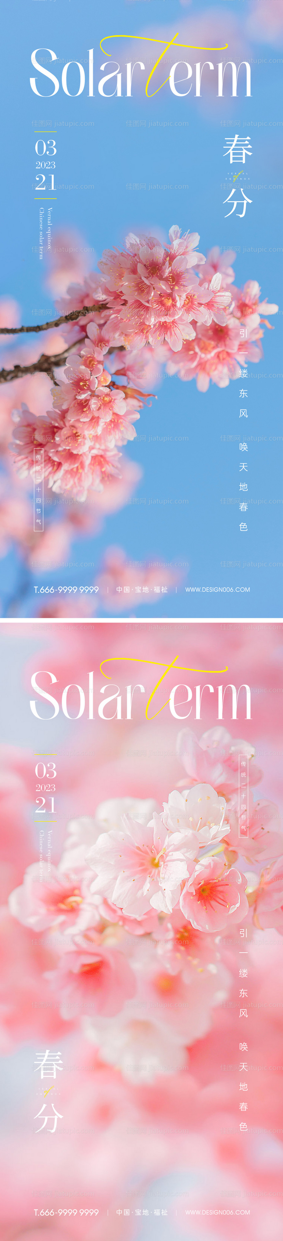 春分节气系列海报-源文件