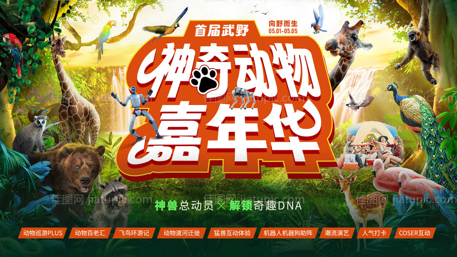 神奇动物嘉年华-源文件