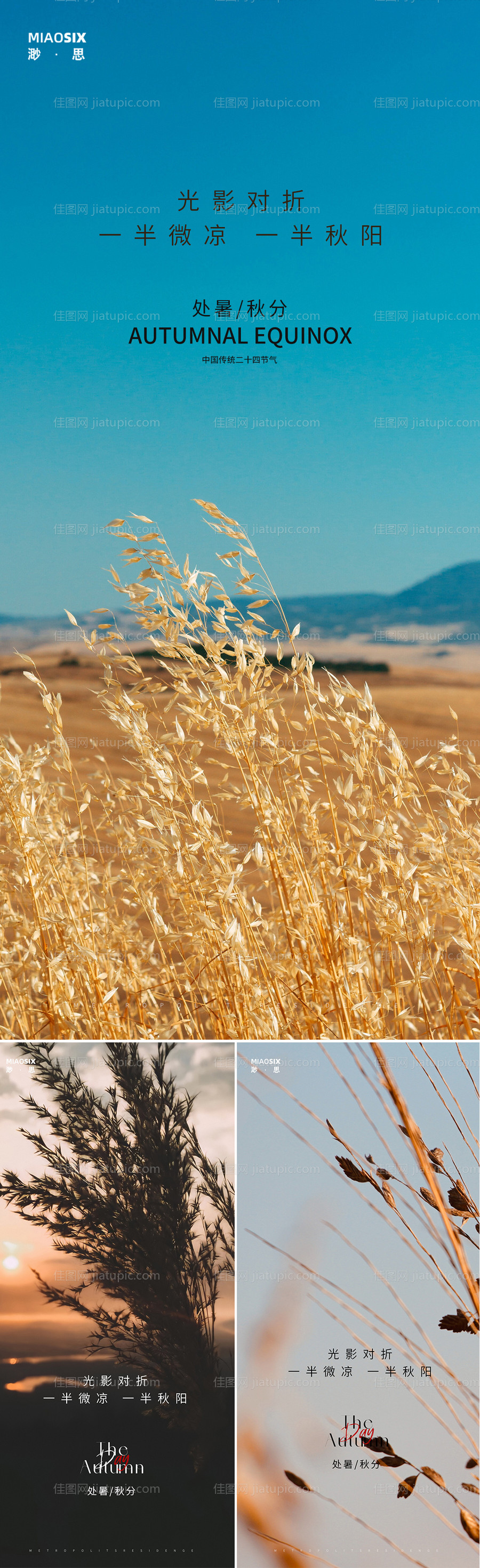 处暑秋分微信系列海报-源文件