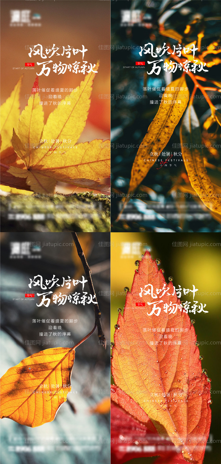 立秋处暑秋分节气宣传海报-源文件