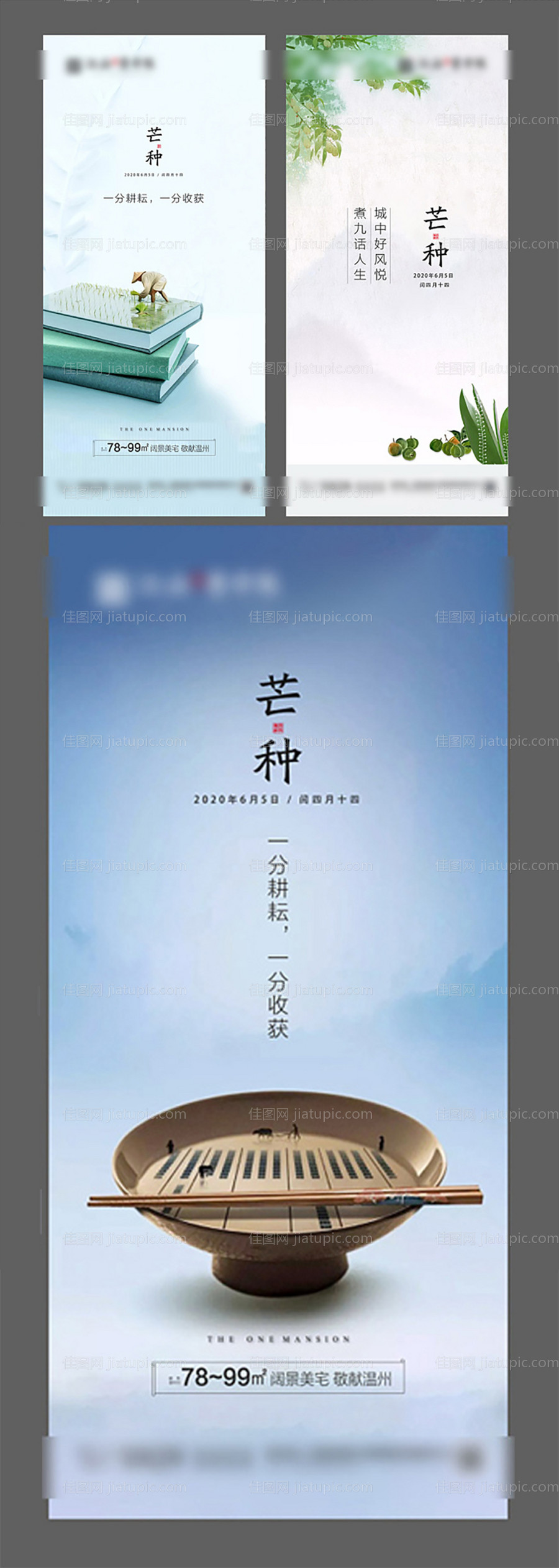 芒种海报-源文件