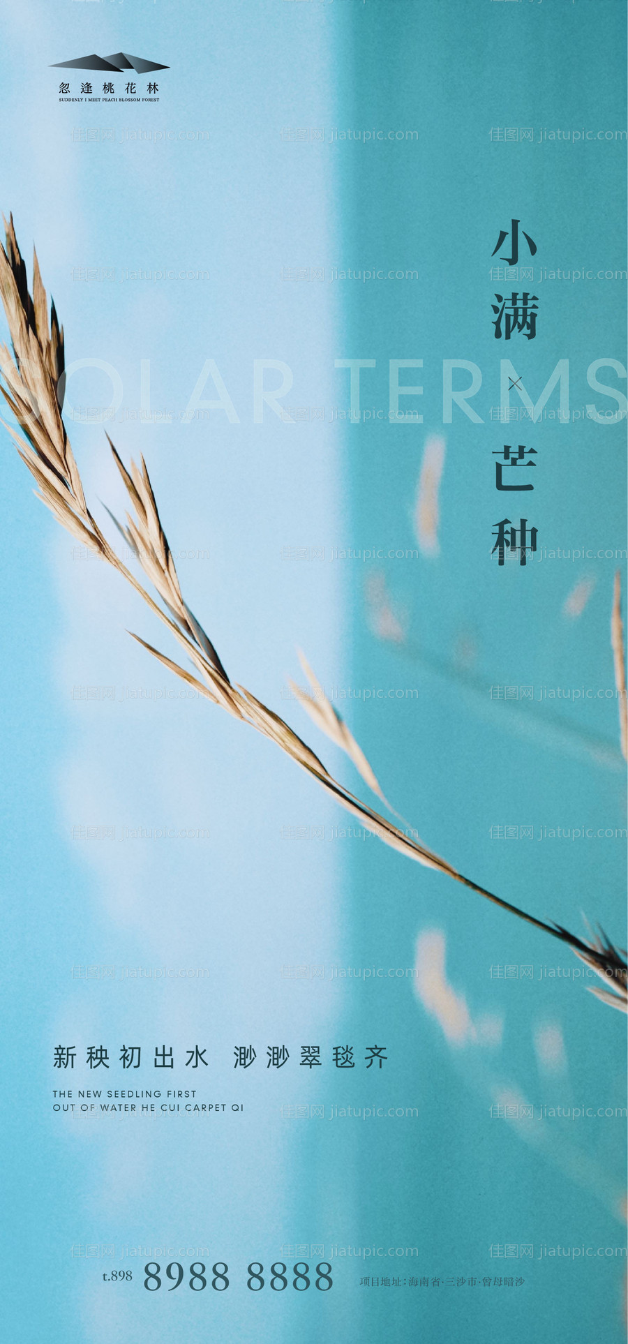 小满芒种地产海报-源文件